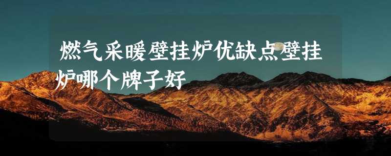 燃气采暖壁挂炉优缺点壁挂炉哪个牌子好