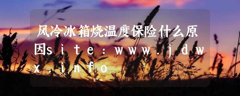 风冷冰箱烧温度保险什么原因site：www.jdwx.info