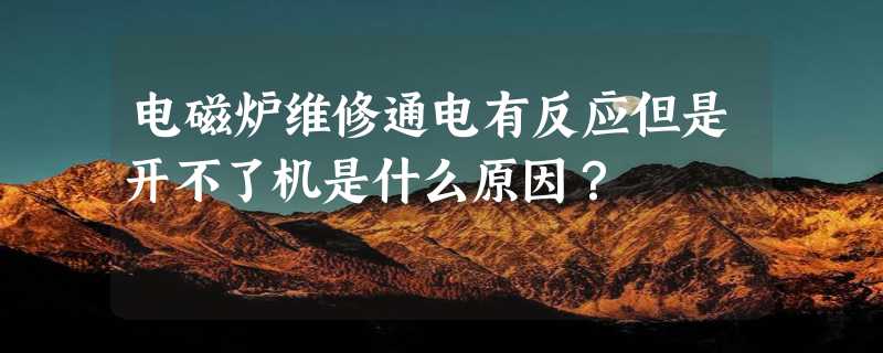 电磁炉维修通电有反应但是开不了机是什么原因？