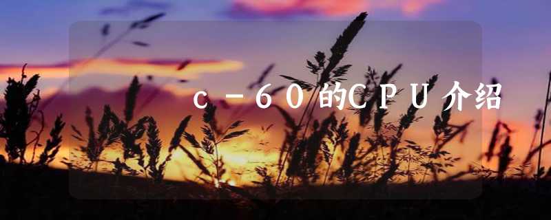 c-60的CPU介绍