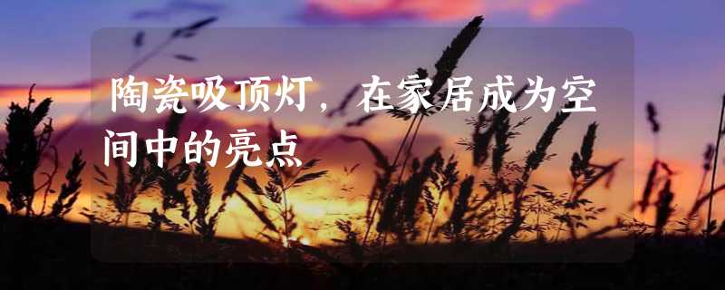 陶瓷吸顶灯，在家居成为空间中的亮点