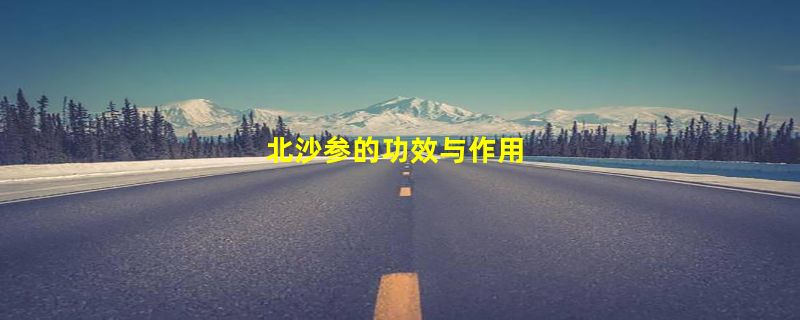 北沙参的功效与作用