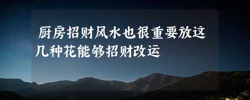 厨房招财风水也很重要放这几种花能够招财改运