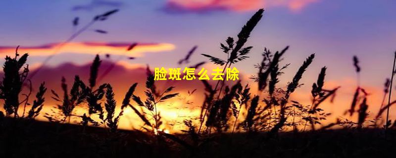 脸斑怎么去除