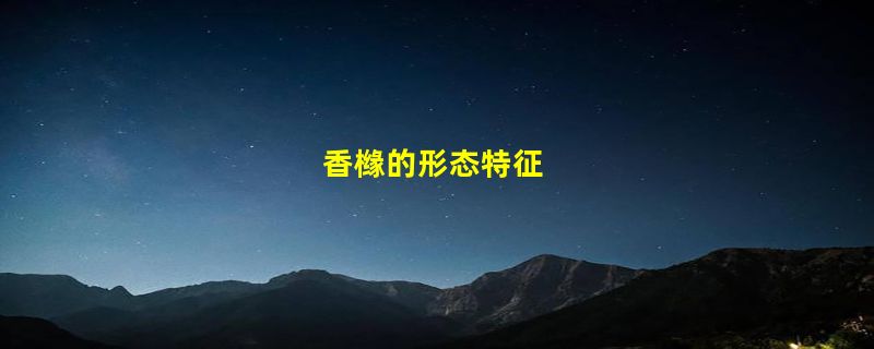 香橼的形态特征