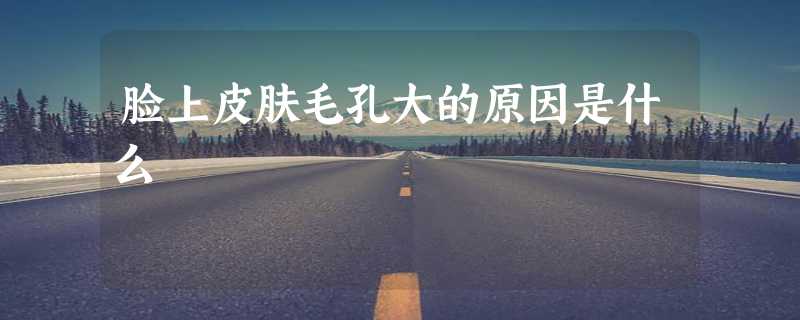 脸上皮肤毛孔大的原因是什么