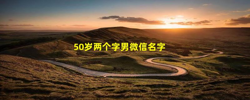 50岁两个字男微信名字