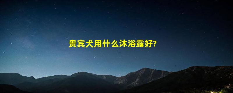 贵宾犬用什么沐浴露好?