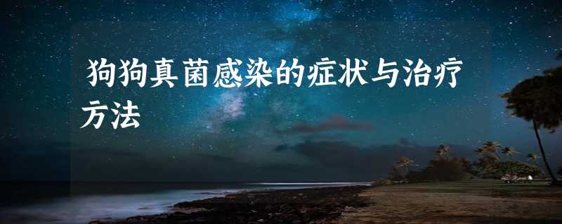 狗狗真菌感染的症状与治疗方法