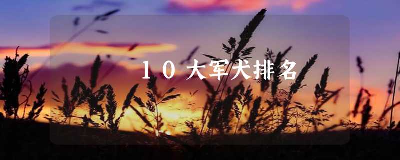 10大军犬排名