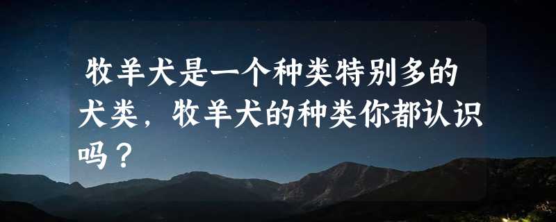 牧羊犬是一个种类特别多的犬类，牧羊犬的种类你都认识吗？