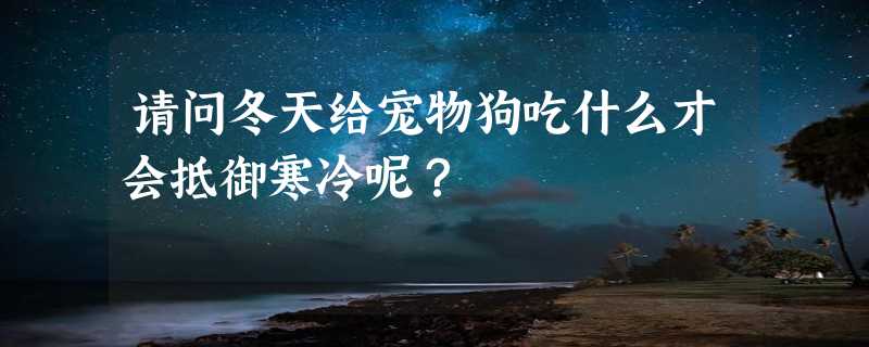 请问冬天给宠物狗吃什么才会抵御寒冷呢？