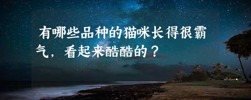 有哪些品种的猫咪长得很霸气，看起来酷酷的？