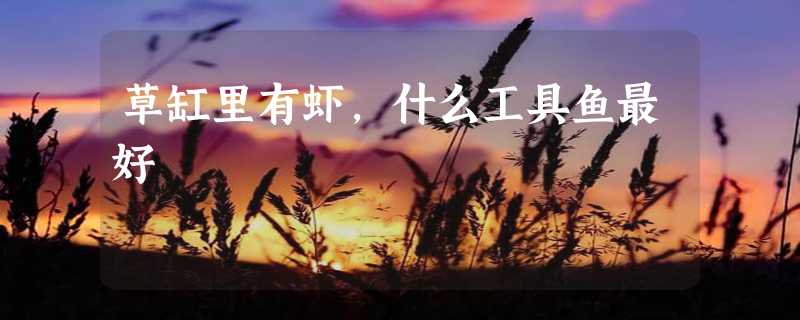 草缸里有虾，什么工具鱼最好