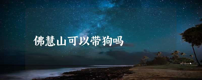 佛慧山可以带狗吗