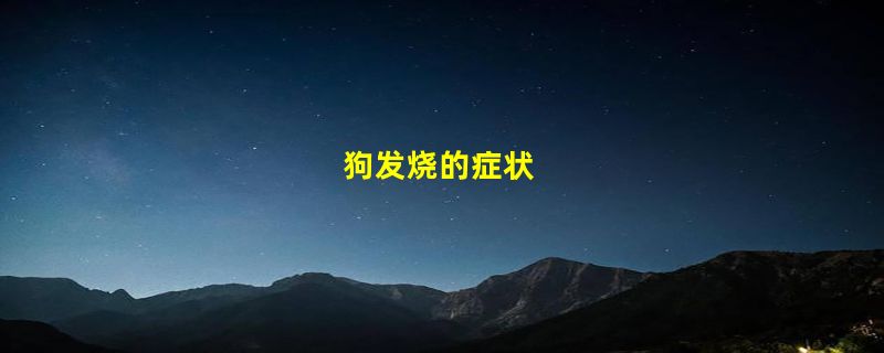 狗发烧的症状