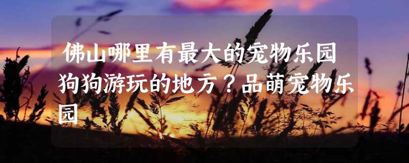 佛山哪里有最大的宠物乐园狗狗游玩的地方？品萌宠物乐园