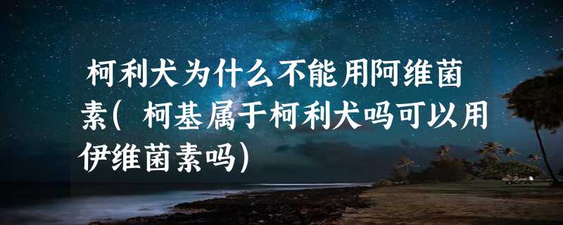 柯利犬为什么不能用阿维菌素(柯基属于柯利犬吗可以用伊维菌素吗)