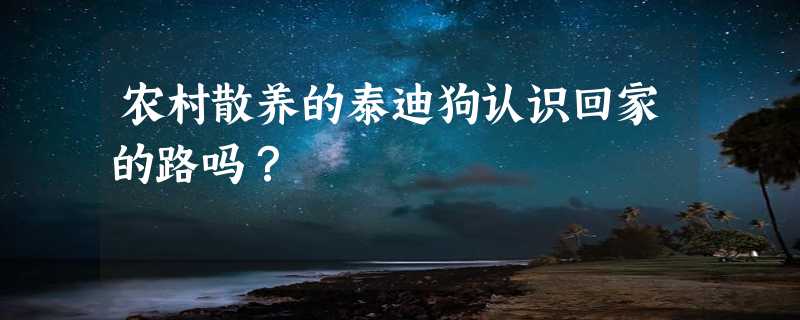 农村散养的泰迪狗认识回家的路吗？