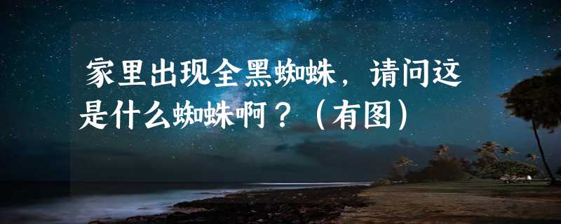 家里出现全黑蜘蛛，请问这是什么蜘蛛啊？（有图）