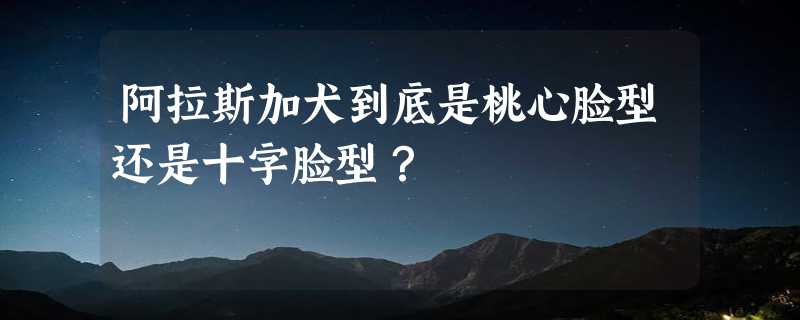 阿拉斯加犬到底是桃心脸型还是十字脸型？