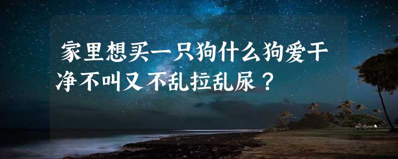 家里想买一只狗什么狗爱干净不叫又不乱拉乱尿？