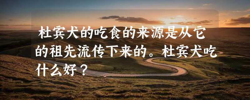 杜宾犬的吃食的来源是从它的祖先流传下来的。杜宾犬吃什么好？