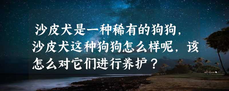 沙皮犬是一种稀有的狗狗，沙皮犬这种狗狗怎么样呢，该怎么对它们进行养护？