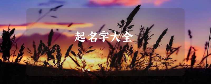 起名字大全