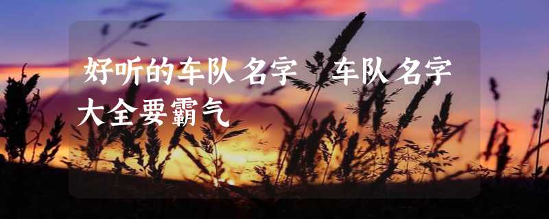 好听的车队名字 车队名字大全要霸气