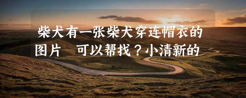 柴犬有一张柴犬穿连帽衣的图片 可以帮找？小清新的