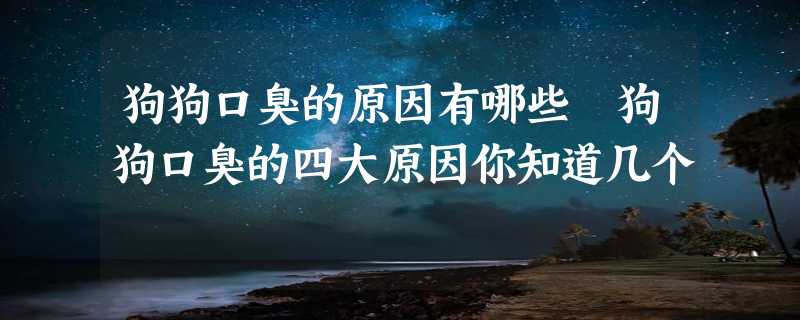 狗狗口臭的原因有哪些 狗狗口臭的四大原因你知道几个