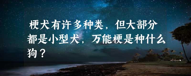 梗犬有许多种类，但大部分都是小型犬，万能梗是种什么狗？