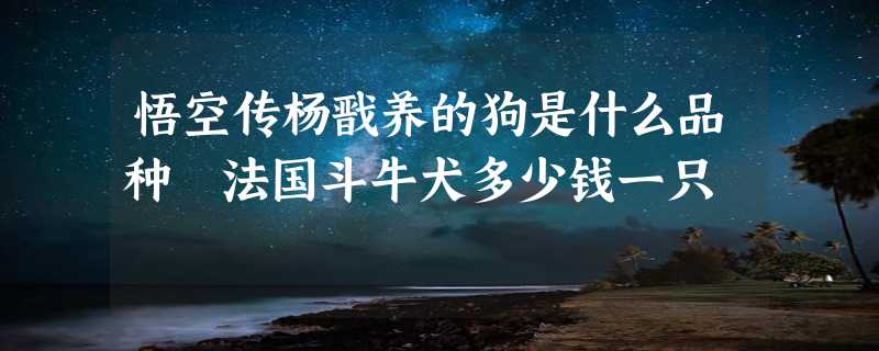 悟空传杨戬养的狗是什么品种 法国斗牛犬多少钱一只