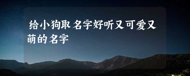 给小狗取名字好听又可爱又萌的名字