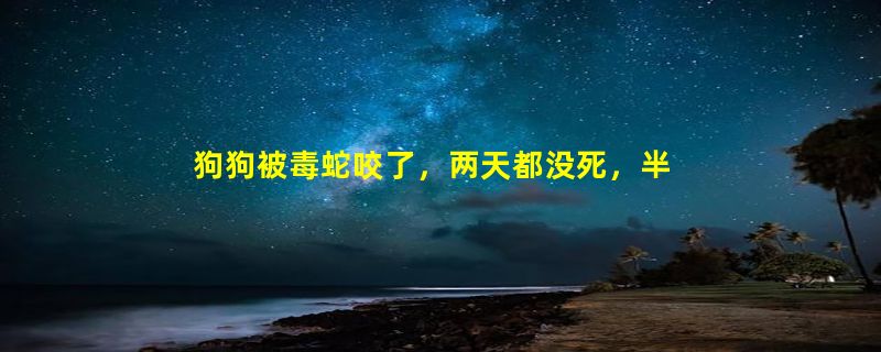 狗狗被毒蛇咬了，两天都没死，半个身体老肿了，请问狗狗会死吗？