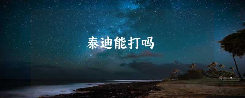 泰迪能打吗