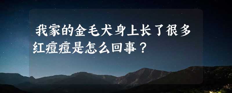 我家的金毛犬身上长了很多红痘痘是怎么回事？