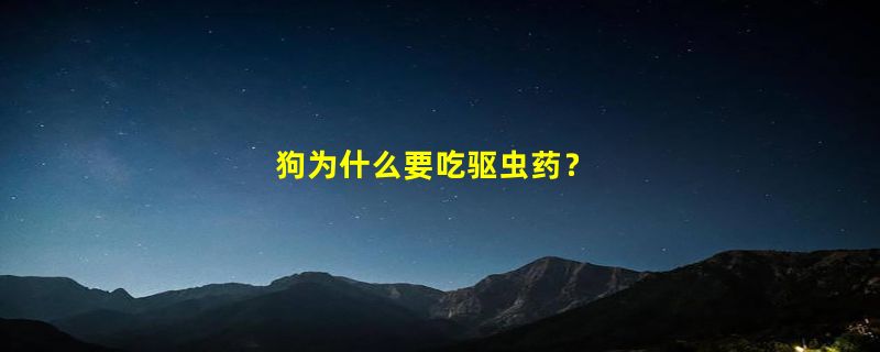 狗为什么要吃驱虫药？