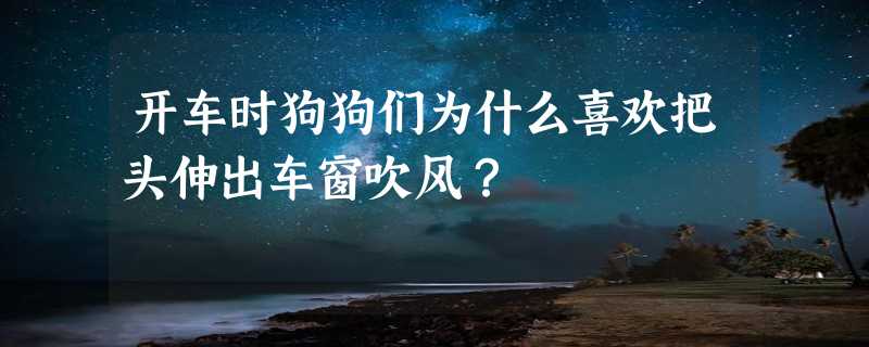 开车时狗狗们为什么喜欢把头伸出车窗吹风？