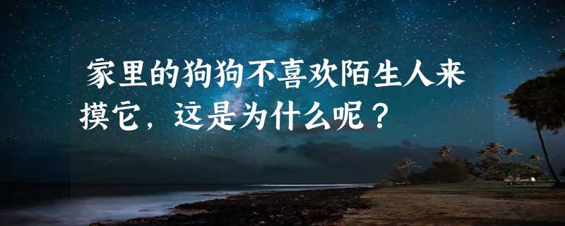 家里的狗狗不喜欢陌生人来摸它，这是为什么呢？