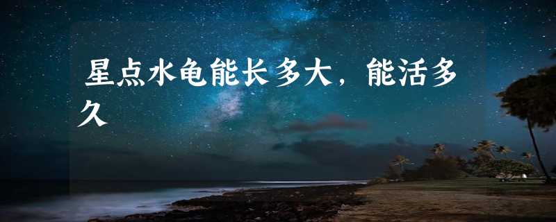 星点水龟能长多大，能活多久