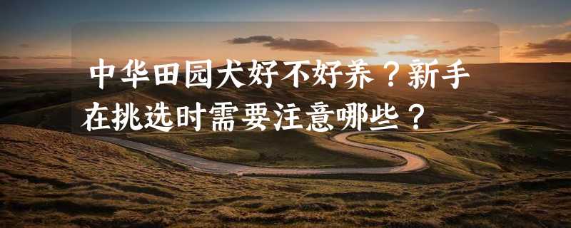 中华田园犬好不好养？新手在挑选时需要注意哪些？