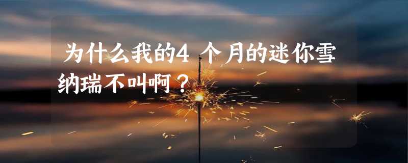 为什么我的4个月的迷你雪纳瑞不叫啊？