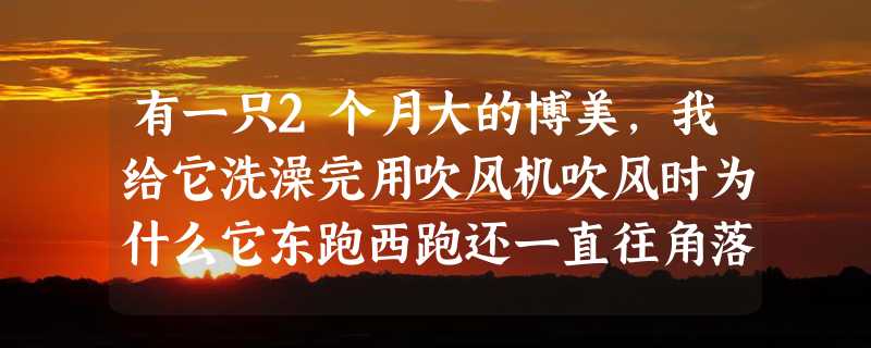 有一只2个月大的博美，我给它洗澡完用吹风机吹风时为什么它东跑西跑还一直往角落跑？我摸了一下它一直在抖