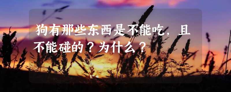 狗有那些东西是不能吃，且不能碰的？为什么？