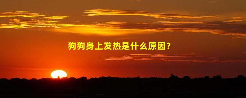 狗狗身上发热是什么原因？