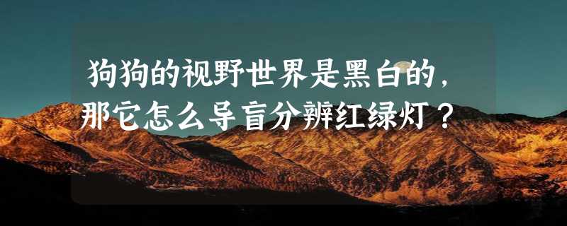 狗狗的视野世界是黑白的，那它怎么导盲分辨红绿灯？