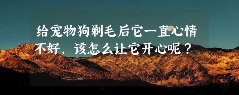 给宠物狗剃毛后它一直心情不好，该怎么让它开心呢？