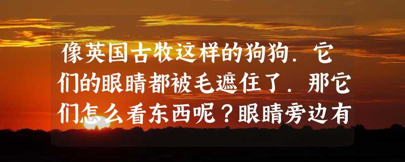 像英国古牧这样的狗狗.它们的眼睛都被毛遮住了.那它们怎么看东西呢？眼睛旁边有很长的毛不会发炎吗？